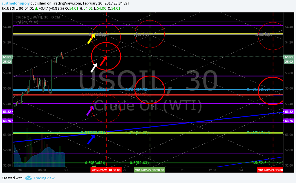 Member Oil Trade Tues Feb 21 Chart Algo FX: $USOIL $WTIC – $USO $CL_F $UWT $DWT $UCO $SCO $ERX $ERY $GUSH $DRIP