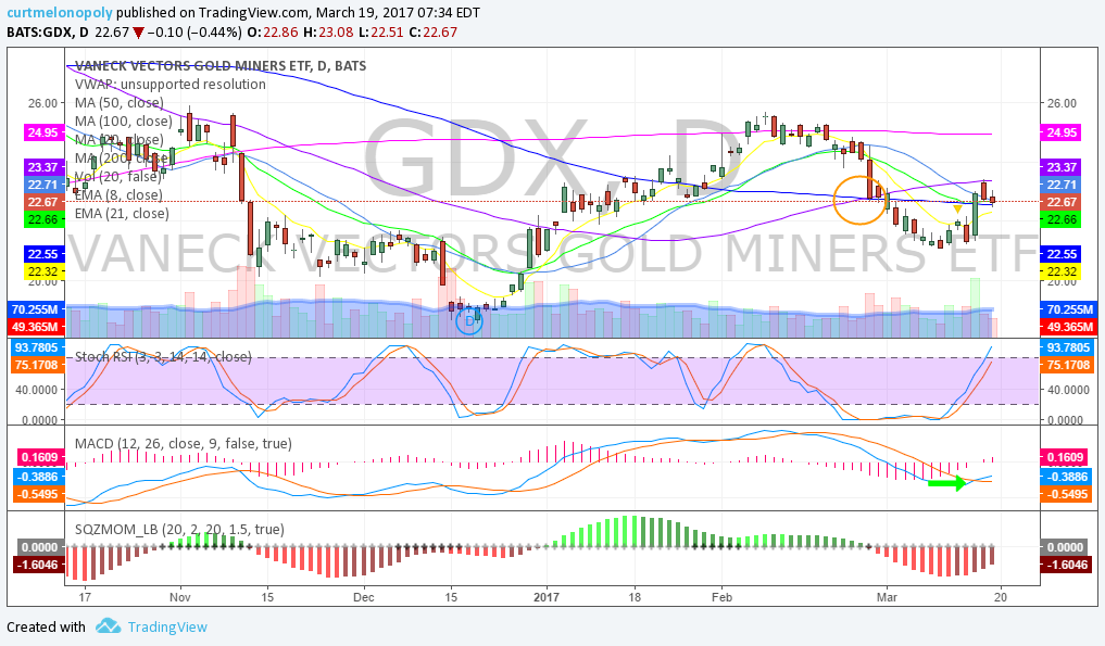 GDX, Chart, Miners, Daily, SwingTrading