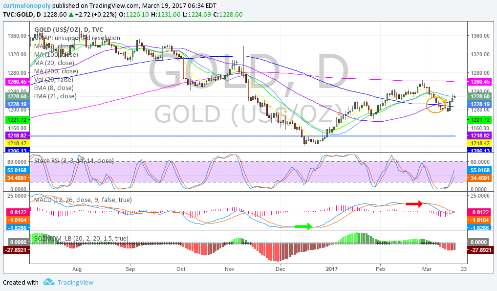 Gold, Daily, Chart, Swing Trading