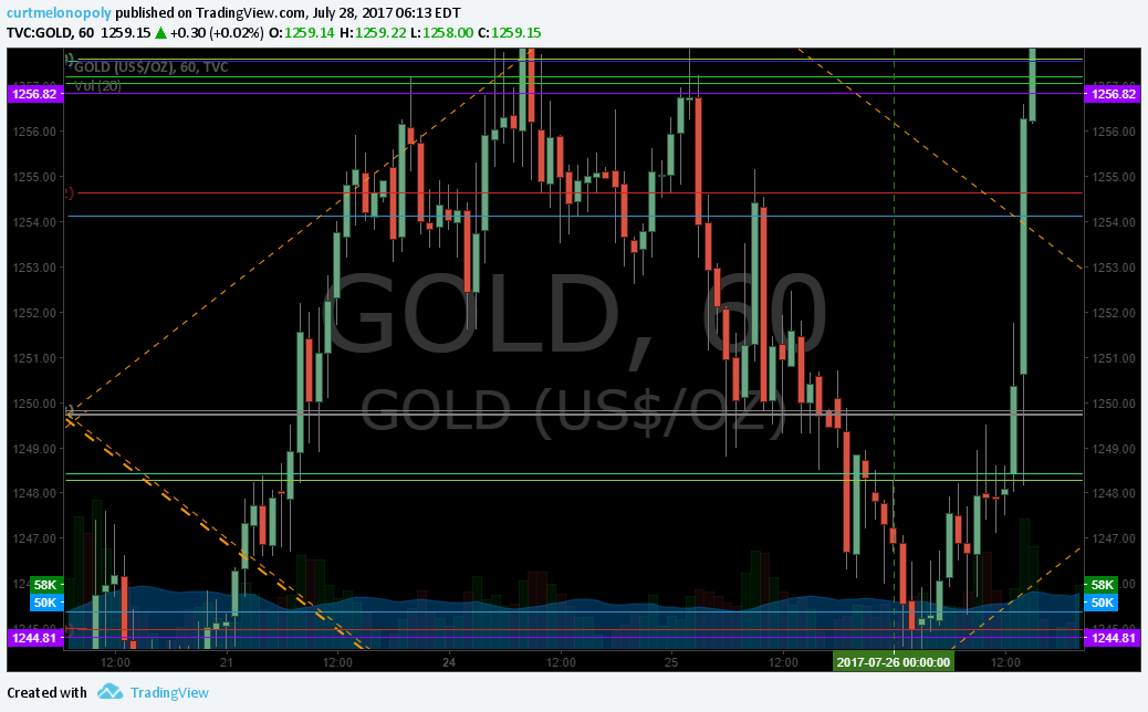 Rosie Gold Algorithm Chart Update July 28 $GC_F $XAUUSD $GLD $UGLD $DGLD $GDX $NUGT $DUST