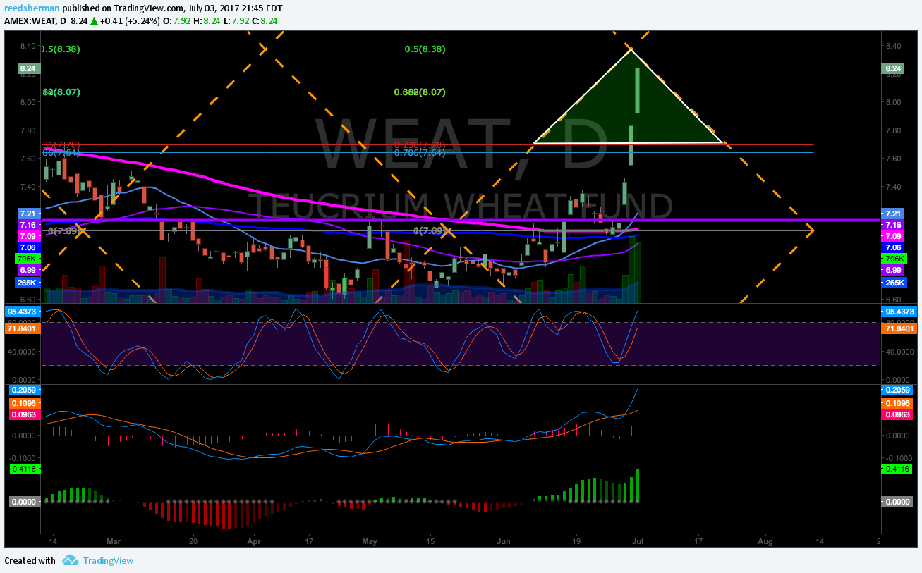 One Week Update: Guest Post #1 Finding Setups