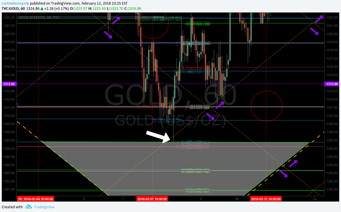 Rosie Gold Algorithm Chart Model Tues Feb 13 $GC_F $XAUUSD $GLD $UGLD $DGLD $GDX $NUGT $DUST