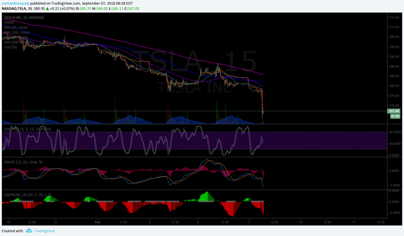 TESLA (TSLA) Premarket watching for a snap back wash out ...