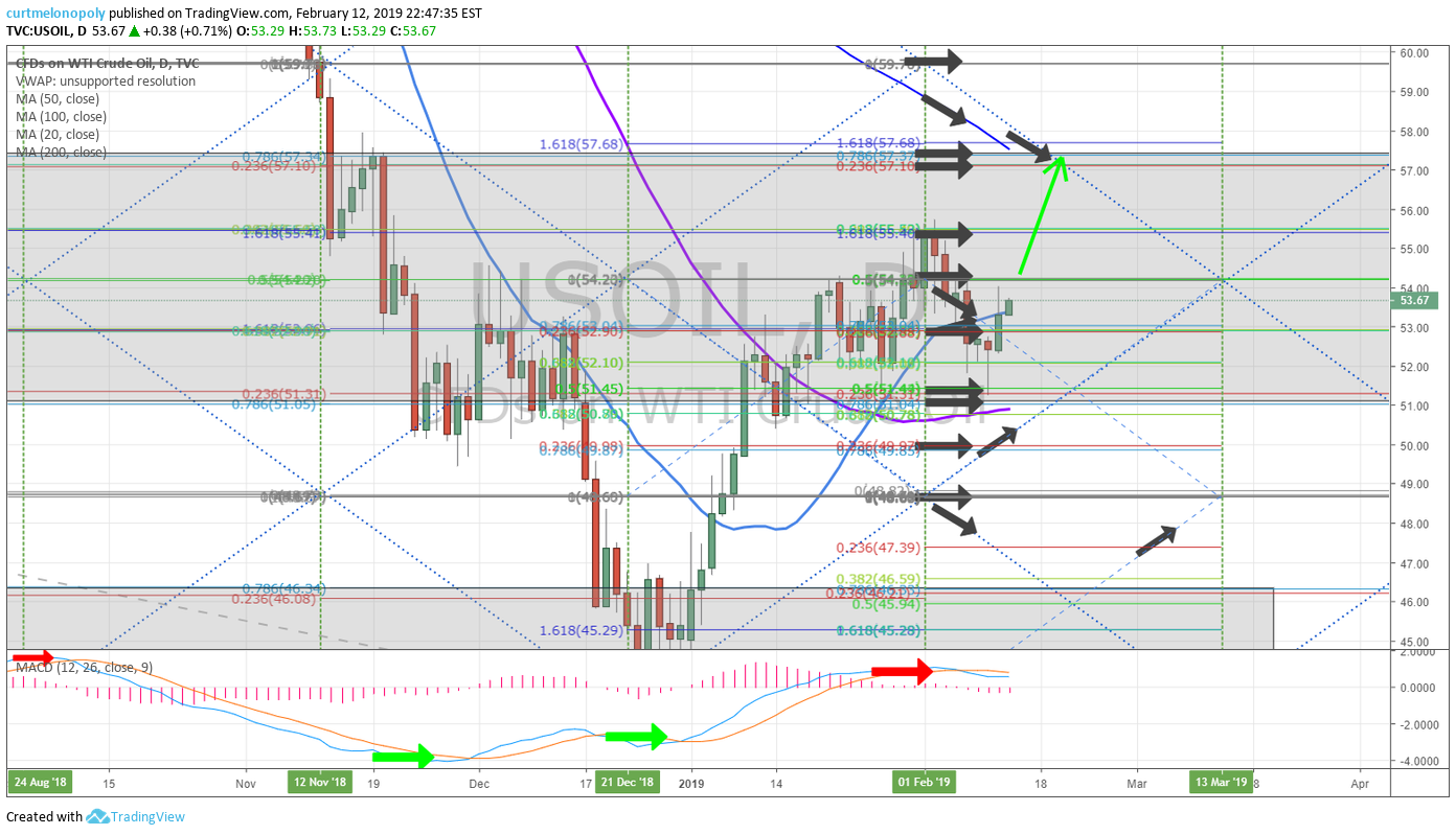 Strategies for Day Trading and Swing Trading Crude Oil | Premium Member Newsletter